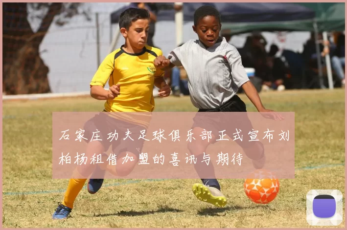 石家庄功夫足球俱乐部正式宣布刘柏杨租借加盟的喜讯与期待